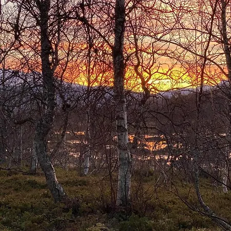 Lyngen, Mackay Appartment, Lyngen Lyngseidet